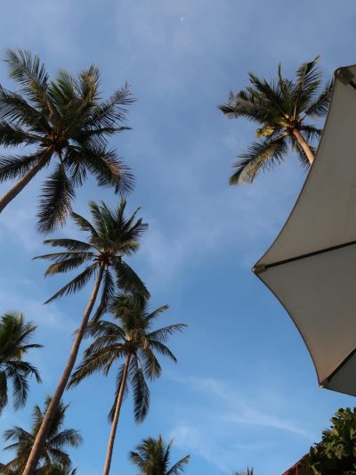 ANGKLA Beach Club & Boutique Resort — фото погоды в мае (2026-05-24)