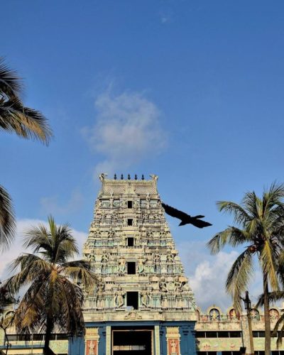 Wellawatta, Sri Lanka в марте — фото погоды (2026-03-22)