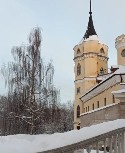 Pavlovsk Palace — фото погоды в январе (2026-01-06)