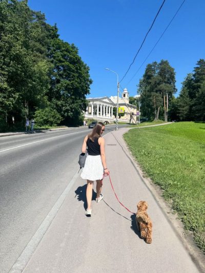 Pavlovsk Palace — фото погоды в июне (2026-06-21)
