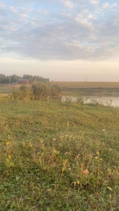 Толмачево Озеро в августе — фото погоды (2024-08-28)
