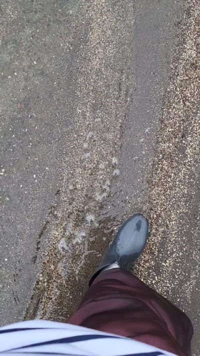 Толмачево Озеро в октябре — фото погоды (2024-10-20)
