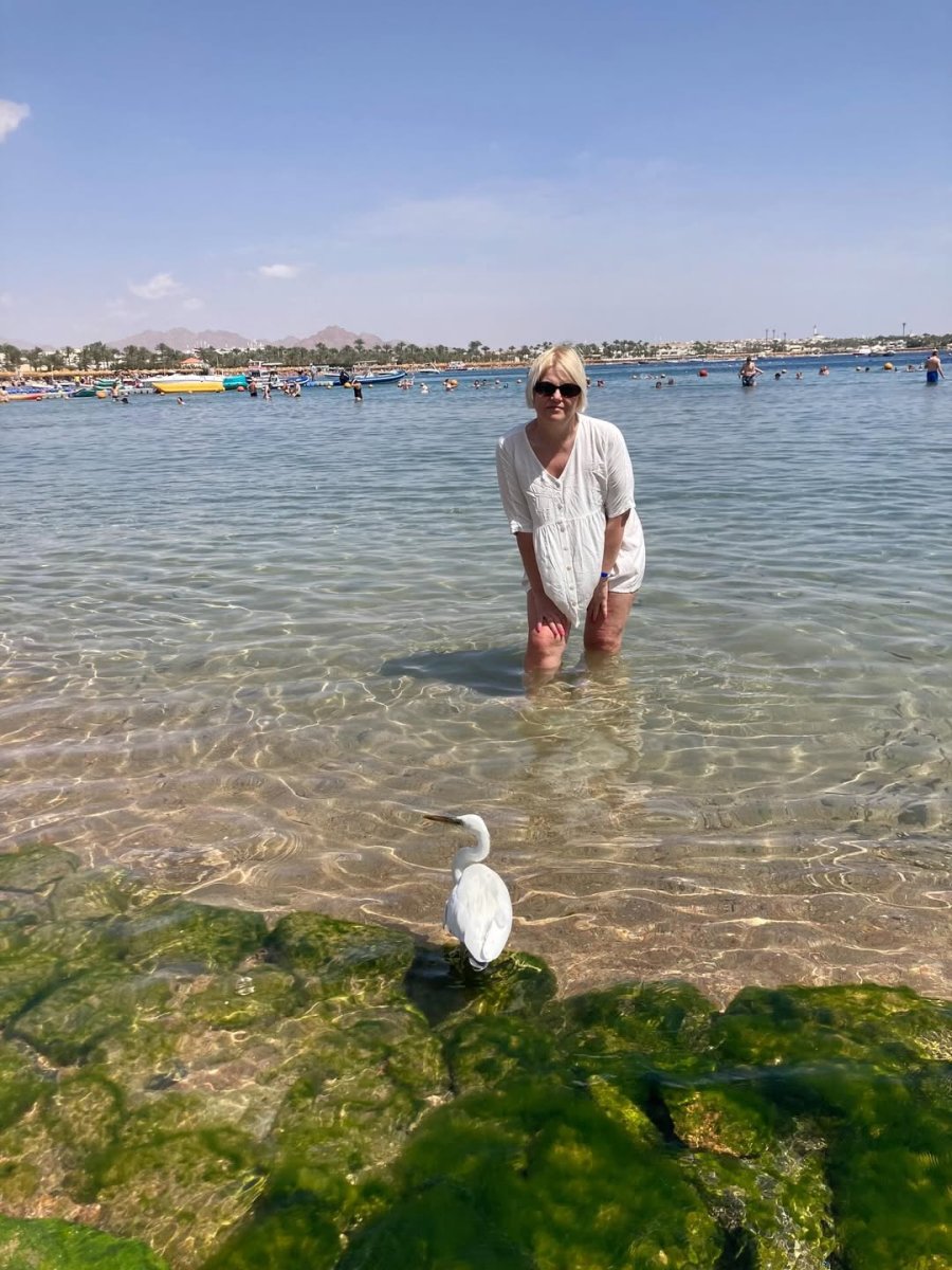 Погода в Шарм-эль-Шейх