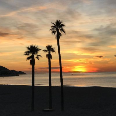 Paseo de Poniente. Benidorm в январе — фото погоды (2026-01-07)