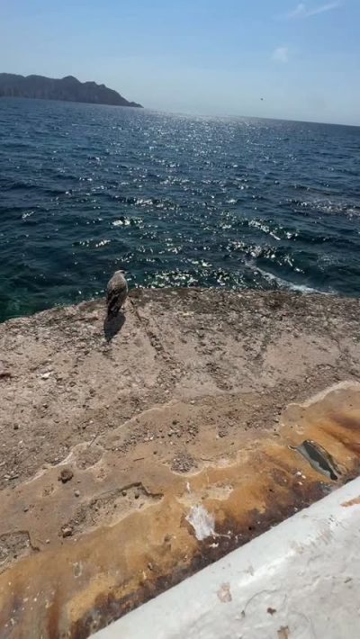 Paseo de Poniente. Benidorm в июле — фото погоды (2026-07-06)