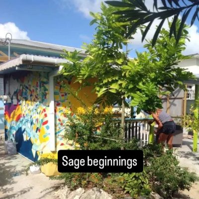 The Sage Bar & Stage, Barbados в феврале — фото погоды (2026-02-18)