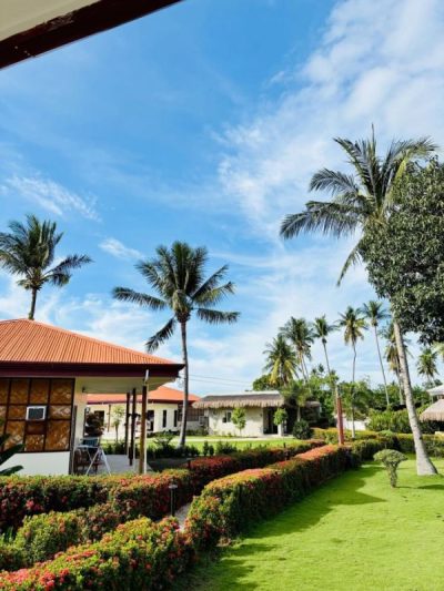 Villa Alessandra Homestay в январе — фото погоды (2026-01-02)