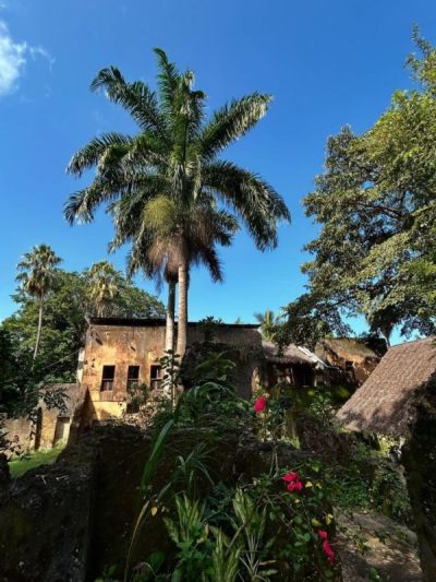 Mbweni Ruins & Gardens в июле — фото погоды (2025-07-03)