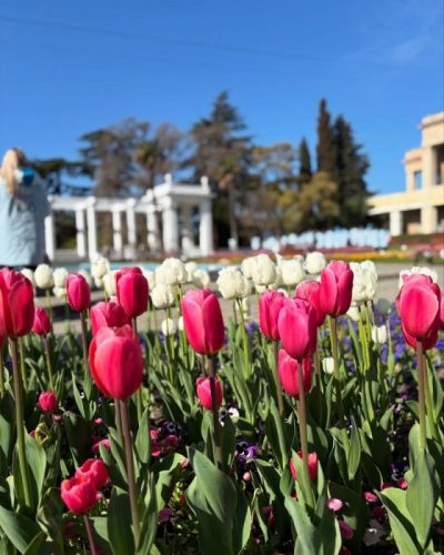 Nikitsky Botanical Garden в апреле — фото погоды (2026-04-16)