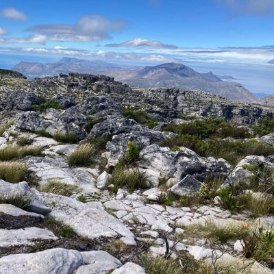 On Top of Table Mountain в январе — фото погоды (2026-01-26)