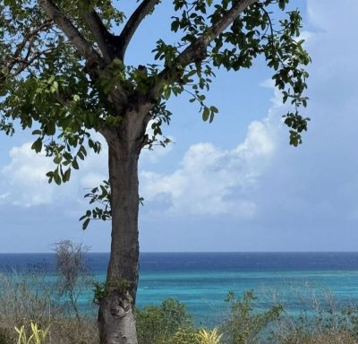 Royal Service At Paradisus Rio De Oro в июне — фото погоды (2025-06-29)