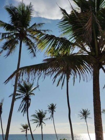 Coconut Beach в ноябре — фото погоды (2025-11-26)