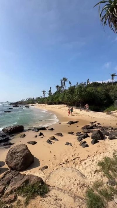 Coconut Beach в январе — фото погоды (2026-01-26)