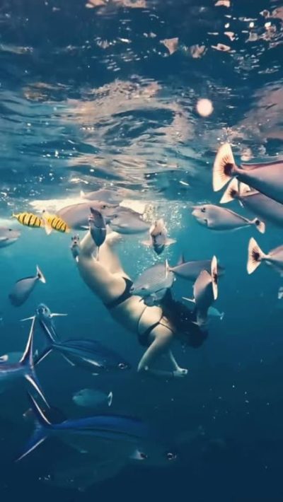 Ukulhas Island Maldives в июле — фото погоды (2025-07-26)