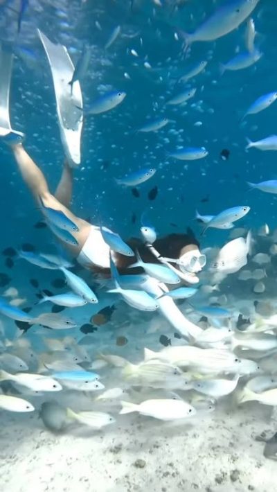 Ukulhas Island Maldives в августе — фото погоды (2025-08-27)