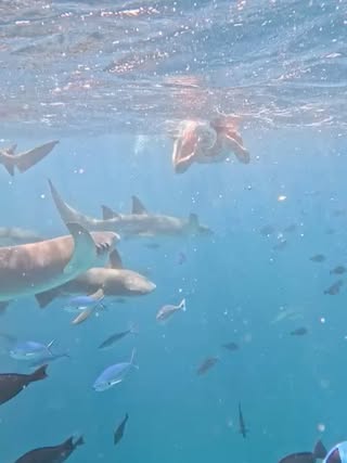 Ukulhas Island Maldives в сентябре — фото погоды (2025-09-11)