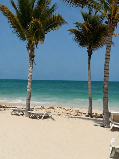 Hotel Riu Dunamar — фото погоды в июне (2026-06-28)