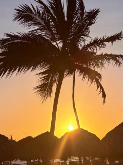 Princess Resorts Punta Cana Dominican Republic в июне — фото погоды (2026-06-11)