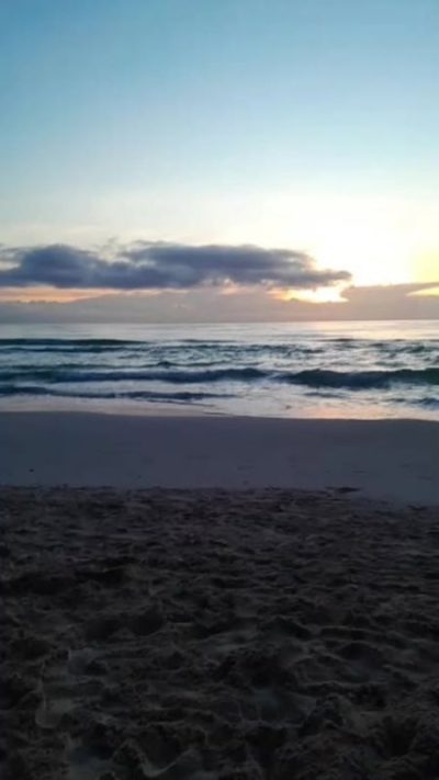 Selina Tulum Los Lirios в ноябре — фото погоды (2024-11-08)
