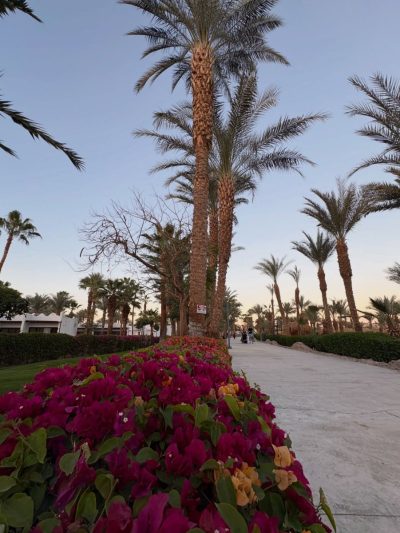 Naama Bay Promenade Resort Managed By Accor — фото погоды в феврале (2026-02-28)