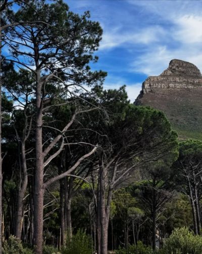 Table Mountain в июле — фото погоды (2026-07-02)