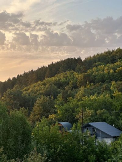 Алтай в июле — фото погоды (2025-07-19)