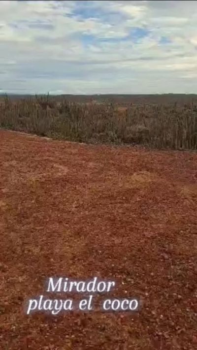 Isla de Coche в сентябре — фото погоды (2025-09-22)
