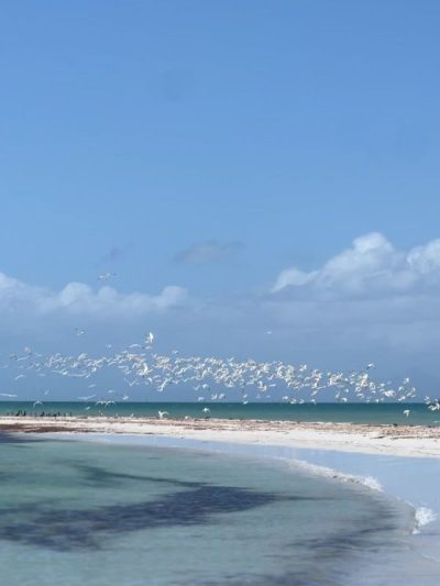 Isla de Coche в январе — фото погоды (2026-01-29)