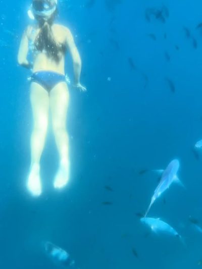 Îles de Lérins в июле — фото погоды (2026-07-22)