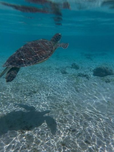 Gili Trawagan Island, Bali в сентябре — фото погоды (2025-09-12)