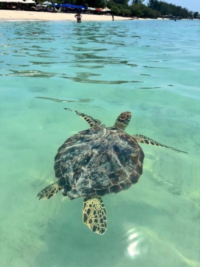 Gili Trawagan Island, Bali в сентябре — фото погоды (2025-09-19)