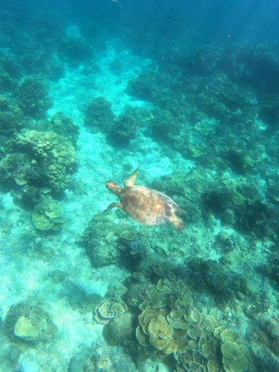 Gili Trawagan Island, Bali в ноябре — фото погоды (2025-11-27)