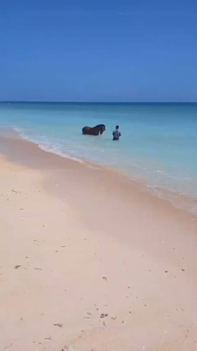 Gili Trawagan Island, Bali в июле — фото погоды (2026-07-06)