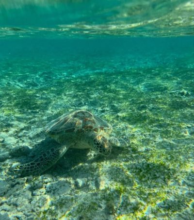 Gili Trawagan Island, Bali в июле — фото погоды (2026-07-20)