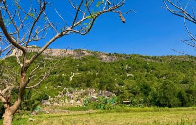 Đồng Cừu Suối Tiên в мае — фото погоды (2026-05-17)