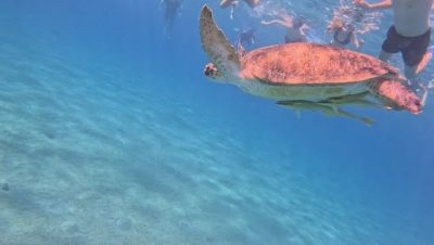Albatros White Beach Hurghada в марте — фото погоды (2026-03-26)