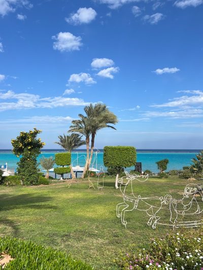Marsa Alam - Floriana Dream Lagoon Hotel — фото погоды в январе (2026-01-20)