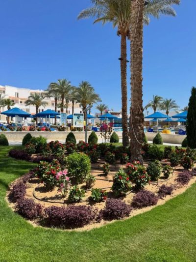 Albatros Hotel, Sharm El Sheikh, Egypt — фото погоды в апреле (2026-04-23)