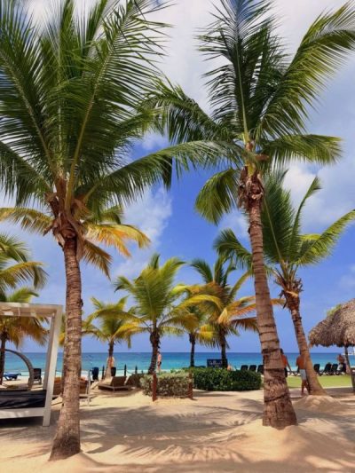 Viva Dominicus Beach Bayaibe Santo Domingo в июне — фото погоды (2026-06-08)