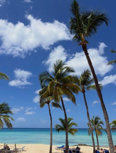 Viva Dominicus Beach Bayaibe Santo Domingo в июне — фото погоды (2026-06-30)