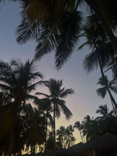 Viva Dominicus Beach Bayaibe Santo Domingo в июле — фото погоды (2026-07-22)
