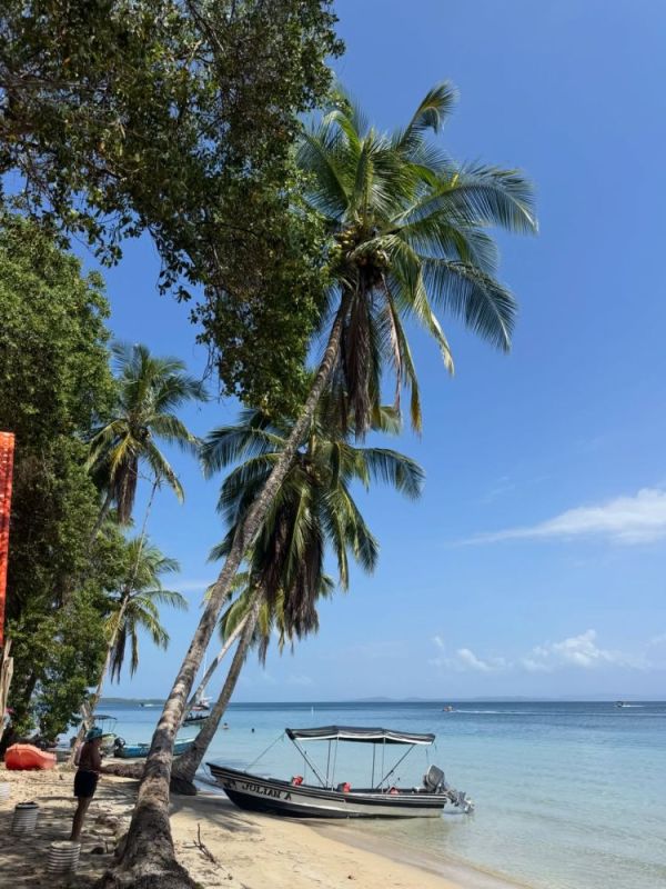 Погода в Playa Estrella, Bocas Del Toro, Panamá