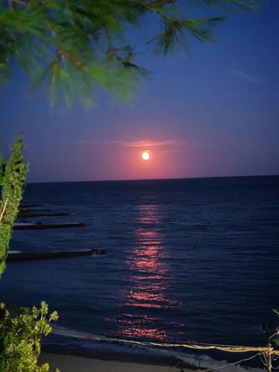Crimea, Alupka в сентябре — фото погоды (2025-09-08)
