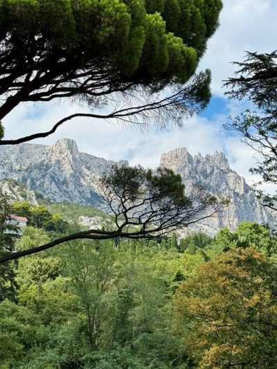 Crimea, Alupka в декабре — фото погоды (2025-12-08)