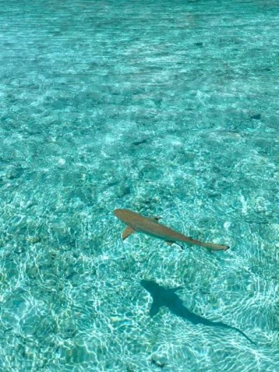 Maldives Islands в апреле — фото погоды (2026-04-22)