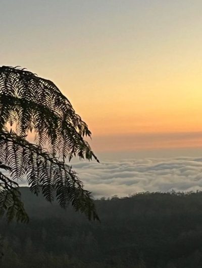 Horton Plains National Park в июне — фото погоды (2026-06-10)