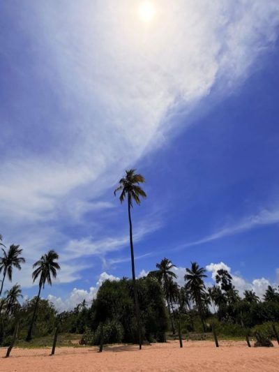 Nilaveli Beach, Trincomalee в апреле — фото погоды (2026-04-20)
