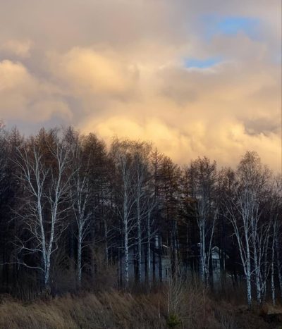 beach_rodina в ноябре — фото погоды (2024-11-03)