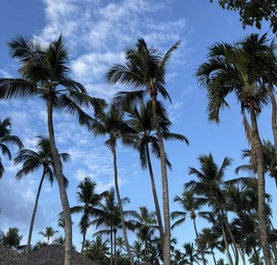 Viva Wyndham Dominicus Beach в январе — фото погоды (2026-01-02)