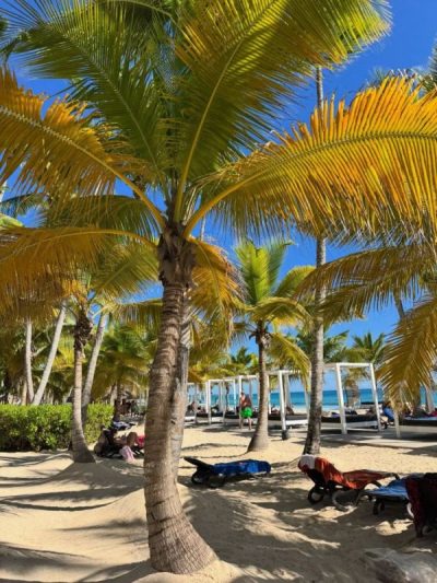 Viva Wyndham Dominicus Beach в апреле — фото погоды (2026-04-26)